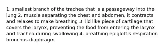 1. smallest branch of the trachea that is a passageway into the lung 2. muscle separating the chest and abdomen, it contracts and relaxes to make breathing 3. lid like piece of cartilage that covers the larynx, preventing the food from entering the larynx and trachea during swallowing 4. breathing epiglottis respiration bronchus diaphragm