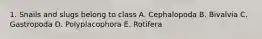 1. Snails and slugs belong to class A. Cephalopoda B. Bivalvia C. Gastropoda D. Polyplacophora E. Rotifera