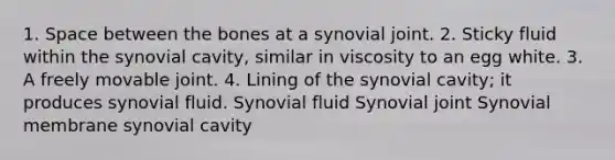 1. Space between the bones at a synovial joint. 2. Sticky fluid within the synovial cavity, similar in viscosity to an egg white. 3. A freely movable joint. 4. Lining of the synovial cavity; it produces synovial fluid. Synovial fluid Synovial joint Synovial membrane synovial cavity