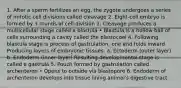 1. After a sperm fertilizes an egg, the zygote undergoes a series of mitotic cell divisions called cleavage 2. Eight-cell embryo is formed by 3 rounds of cell division 3. Cleavage produces a multicellular stage called a blastula • Blastula is a hollow ball of cells surrounding a cavity called the blastocoel 4. Following blastula stage is process of gastrulation, one end folds inward Producing layers of embryonic tissues: a. Ectoderm (outer layer) b. Endoderm (inner layer) Resulting developmental stage is called a gastrula 5. Pouch formed by gastrulation called archenteron • Opens to outside via blastopore 6. Endoderm of archenteron develops into tissue lining animal's digestive tract