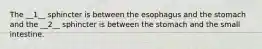 The __1__ sphincter is between the esophagus and the stomach and the __2__ sphincter is between the stomach and the small intestine.