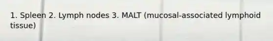 1. Spleen 2. Lymph nodes 3. MALT (mucosal-associated lymphoid tissue)