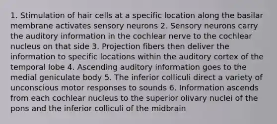 1. Stimulation of hair cells at a specific location along the basilar membrane activates sensory neurons 2. Sensory neurons carry the auditory information in the cochlear nerve to the cochlear nucleus on that side 3. Projection fibers then deliver the information to specific locations within the auditory cortex of the temporal lobe 4. Ascending auditory information goes to the medial geniculate body 5. The inferior colliculi direct a variety of unconscious motor responses to sounds 6. Information ascends from each cochlear nucleus to the superior olivary nuclei of the pons and the inferior colliculi of the midbrain