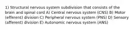 1) Structural nervous system subdivision that consists of the brain and spinal cord A) Central nervous system (CNS) B) Motor (efferent) division C) Peripheral nervous system (PNS) D) Sensory (afferent) division E) Autonomic nervous system (ANS)