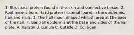 1. Structural protein found in the skin and connective tissue. 2. Root means horn. Hard protein material found in the epidermis, hair and nails. 3. The half-moon shaped whitish area at the base of the nail. 4. Band of epidermis at the base and sides of the nail plate. A. Keratin B. Lunula C. Cuticle D. Collagen