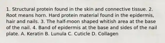 1. Structural protein found in the skin and connective tissue. 2. Root means horn. Hard protein material found in the epidermis, hair and nails. 3. The half-moon shaped whitish area at the base of the nail. 4. Band of epidermis at the base and sides of the nail plate. A. Keratin B. Lunula C. Cuticle D. Collagen