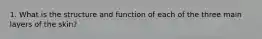 1. What is the structure and function of each of the three main layers of the skin?