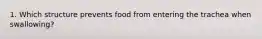 1. Which structure prevents food from entering the trachea when swallowing?