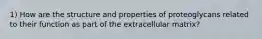 1) How are the structure and properties of proteoglycans related to their function as part of the extracellular matrix?