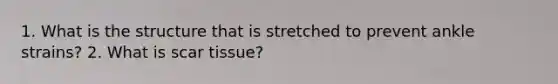 1. What is the structure that is stretched to prevent ankle strains? 2. What is scar tissue?