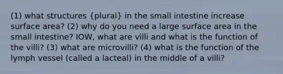 (1) what structures (plural) in the small intestine increase surface area? (2) why do you need a large surface area in the small intestine? IOW, what are villi and what is the function of the villi? (3) what are microvilli? (4) what is the function of the lymph vessel (called a lacteal) in the middle of a villi?