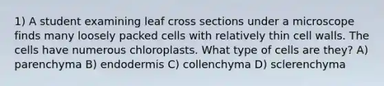 1) A student examining leaf cross sections under a microscope finds many loosely packed cells with relatively thin cell walls. The cells have numerous chloroplasts. What type of cells are they? A) parenchyma B) endodermis C) collenchyma D) sclerenchyma