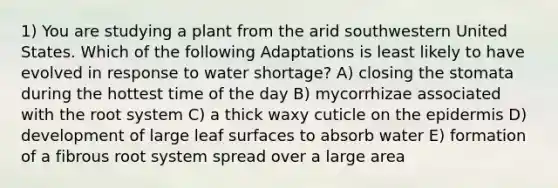 1) You are studying a plant from the arid southwestern United States. Which of the following Adaptations is least likely to have evolved in response to water shortage? A) closing the stomata during the hottest time of the day B) mycorrhizae associated with the root system C) a thick waxy cuticle on the epidermis D) development of large leaf surfaces to absorb water E) formation of a fibrous root system spread over a large area