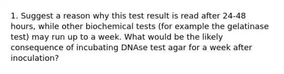 1. Suggest a reason why this test result is read after 24-48 hours, while other biochemical tests (for example the gelatinase test) may run up to a week. What would be the likely consequence of incubating DNAse test agar for a week after inoculation?