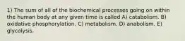 1) The sum of all of the biochemical processes going on within the human body at any given time is called A) catabolism. B) oxidative phosphorylation. C) metabolism. D) anabolism. E) glycolysis.