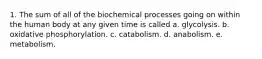 1. The sum of all of the biochemical processes going on within the human body at any given time is called a. glycolysis. b. oxidative phosphorylation. c. catabolism. d. anabolism. e. metabolism.