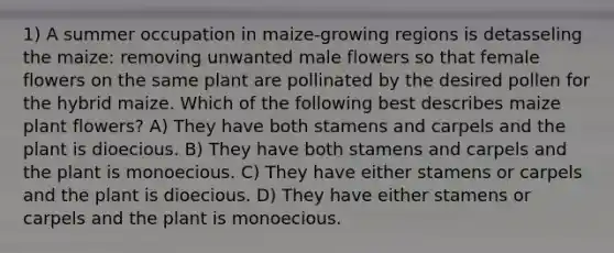 1) A summer occupation in maize-growing regions is detasseling the maize: removing unwanted male flowers so that female flowers on the same plant are pollinated by the desired pollen for the hybrid maize. Which of the following best describes maize plant flowers? A) They have both stamens and carpels and the plant is dioecious. B) They have both stamens and carpels and the plant is monoecious. C) They have either stamens or carpels and the plant is dioecious. D) They have either stamens or carpels and the plant is monoecious.