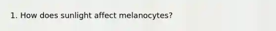 1. How does sunlight affect melanocytes?