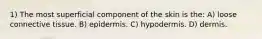 1) The most superficial component of the skin is the: A) loose connective tissue. B) epidermis. C) hypodermis. D) dermis.