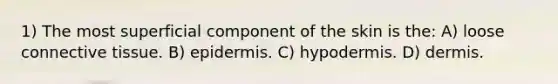 1) The most superficial component of the skin is the: A) loose connective tissue. B) epidermis. C) hypodermis. D) dermis.