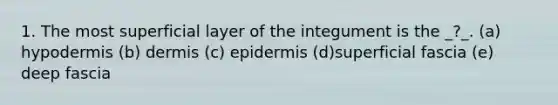 1. The most superficial layer of the integument is the _?_. (a) hypodermis (b) dermis (c) epidermis (d)superficial fascia (e) deep fascia