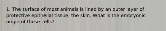 1. The surface of most animals is lined by an outer layer of protective epithelial tissue, the skin. What is the embryonic origin of these cells?