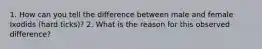 1. How can you tell the difference between male and female Ixodids (hard ticks)? 2. What is the reason for this observed difference?