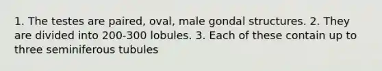 1. The testes are paired, oval, male gondal structures. 2. They are divided into 200-300 lobules. 3. Each of these contain up to three seminiferous tubules