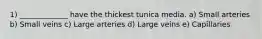 1) _____________ have the thickest tunica media. a) Small arteries b) Small veins c) Large arteries d) Large veins e) Capillaries