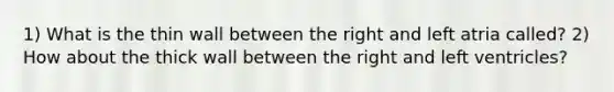 1) What is the thin wall between the right and left atria called? 2) How about the thick wall between the right and left ventricles?