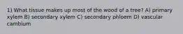 1) What tissue makes up most of the wood of a tree? A) primary xylem B) secondary xylem C) secondary phloem D) vascular cambium