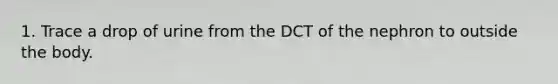 1. Trace a drop of urine from the DCT of the nephron to outside the body.