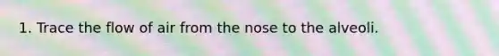 1. Trace the flow of air from the nose to the alveoli.