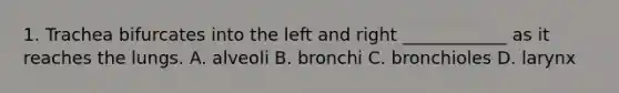 1. Trachea bifurcates into the left and right ____________ as it reaches the lungs. A. alveoli B. bronchi C. bronchioles D. larynx