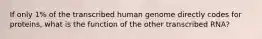 If only 1% of the transcribed human genome directly codes for proteins, what is the function of the other transcribed RNA?