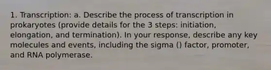 1. Transcription: a. Describe the process of transcription in prokaryotes (provide details for the 3 steps: initiation, elongation, and termination). In your response, describe any key molecules and events, including the sigma () factor, promoter, and RNA polymerase.