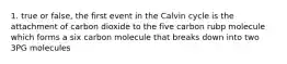 1. true or false, the first event in the Calvin cycle is the attachment of carbon dioxide to the five carbon rubp molecule which forms a six carbon molecule that breaks down into two 3PG molecules