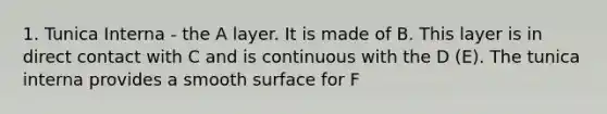 1. Tunica Interna - the A layer. It is made of B. This layer is in direct contact with C and is continuous with the D (E). The tunica interna provides a smooth surface for F