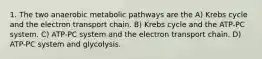 1. The two anaerobic metabolic pathways are the A) Krebs cycle and the electron transport chain. B) Krebs cycle and the ATP-PC system. C) ATP-PC system and the electron transport chain. D) ATP-PC system and glycolysis.