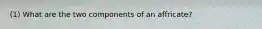 (1) What are the two components of an affricate?