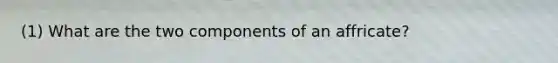 (1) What are the two components of an affricate?