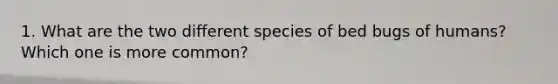 1. What are the two different species of bed bugs of humans? Which one is more common?