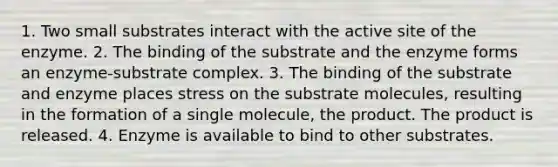 1. Two small substrates interact with the active site of the enzyme. 2. The binding of the substrate and the enzyme forms an enzyme-substrate complex. 3. The binding of the substrate and enzyme places stress on the substrate molecules, resulting in the formation of a single molecule, the product. The product is released. 4. Enzyme is available to bind to other substrates.