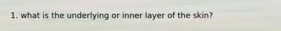 1. what is the underlying or inner layer of the skin?