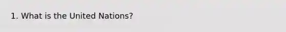 1. What is the United Nations?