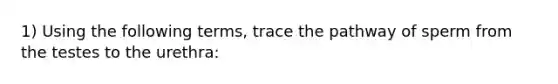 1) Using the following terms, trace the pathway of sperm from the testes to the urethra: