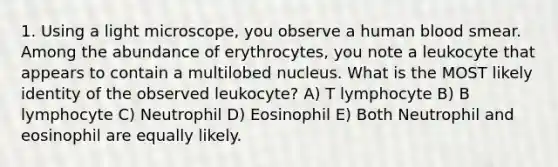 1. Using a light microscope, you observe a human blood smear. Among the abundance of erythrocytes, you note a leukocyte that appears to contain a multilobed nucleus. What is the MOST likely identity of the observed leukocyte? A) T lymphocyte B) B lymphocyte C) Neutrophil D) Eosinophil E) Both Neutrophil and eosinophil are equally likely.