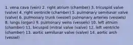 1. vena cava (vein) 2. right atrium (chamber) 3. tricuspid valve (valve) 4. right ventricle (chamber) 5. pulmonary semilunar valve (valve) 6. pulmonary trunk (vessel) pulmonary arteries (vessels) 8. lungs (organ) 9. pulmonary veins (vessels) 10. left atrium (chamber) 11. bicuspid (mitral valve (valve) 12. left ventricle (chamber) 13. aortic semilunar valve (valve) 14. aortic arch (vessel)