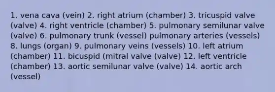 1. vena cava (vein) 2. right atrium (chamber) 3. tricuspid valve (valve) 4. right ventricle (chamber) 5. pulmonary semilunar valve (valve) 6. pulmonary trunk (vessel) pulmonary arteries (vessels) 8. lungs (organ) 9. pulmonary veins (vessels) 10. left atrium (chamber) 11. bicuspid (mitral valve (valve) 12. left ventricle (chamber) 13. aortic semilunar valve (valve) 14. aortic arch (vessel)