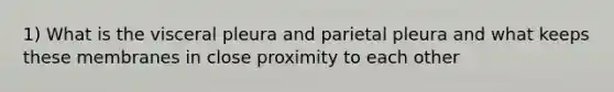 1) What is the visceral pleura and parietal pleura and what keeps these membranes in close proximity to each other